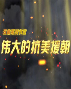 年轻的阿迈德 封面图